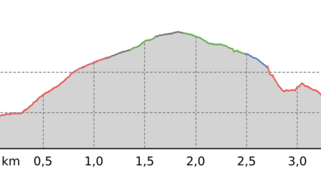 Trutg dil Flem: Rundtour 1. - Bergbahnen Flims – Punt Gronda – Bergbahnen Flims (oua_66673919_1d4cd2b_profile) Trutg dil Flem: Rundtour 1. - Bergbahnen Flims – Punt Gronda – Bergbahnen Flims (oua_66673919_1d4cd2b_profile)
