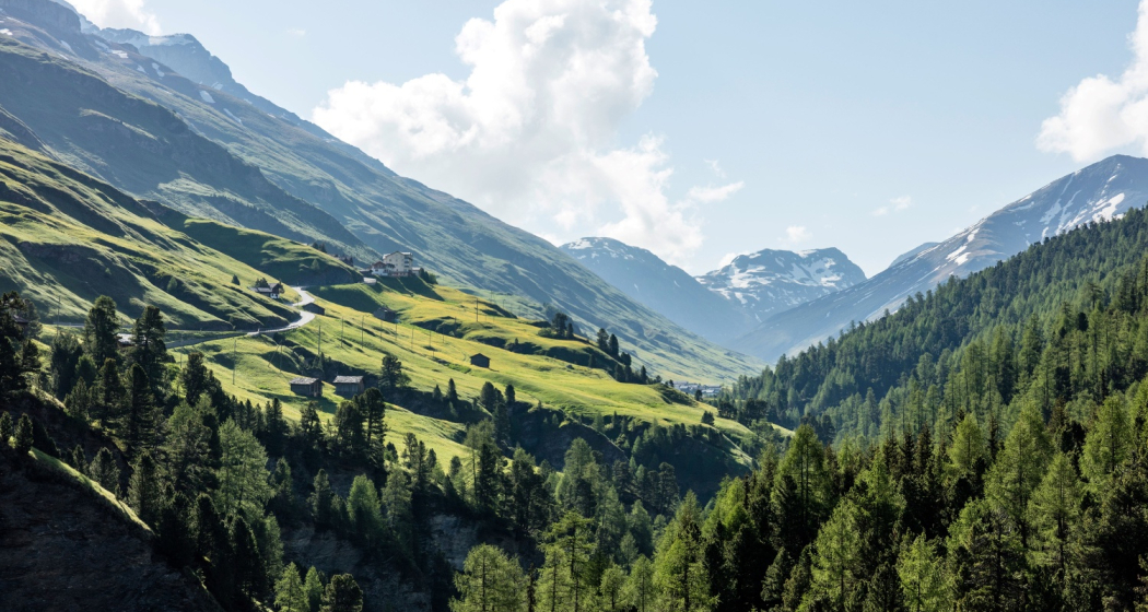 Blick in Averstal mit Cresta Blick in Averstal mit Cresta