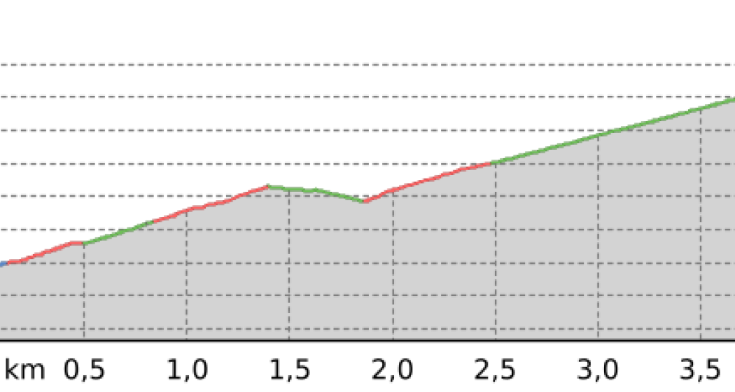 Bergwald-Wundertüte, Darlux (oua_66820665_2c29b85_profile) Bergwald-Wundertüte, Darlux (oua_66820665_2c29b85_profile)