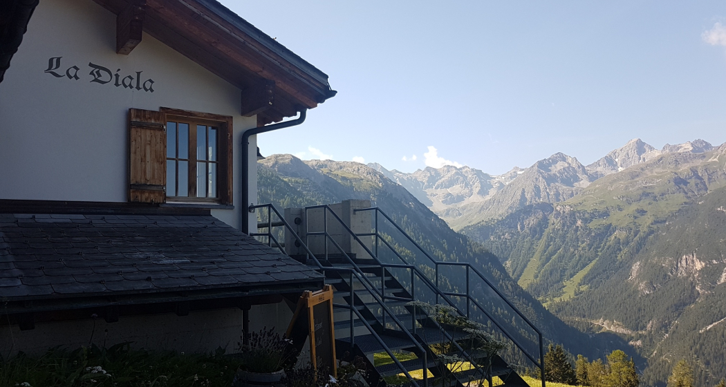 Bergwald-Wundertüte, Darlux (oua_66821066_image) Bergwald-Wundertüte, Darlux (oua_66821066_image)