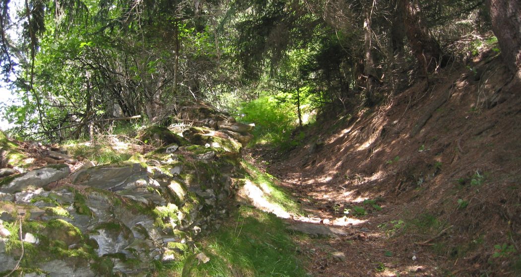 Etappe 7: historischer Transitweg oberhalb von Zillis Etappe 7: historischer Transitweg oberhalb von Zillis