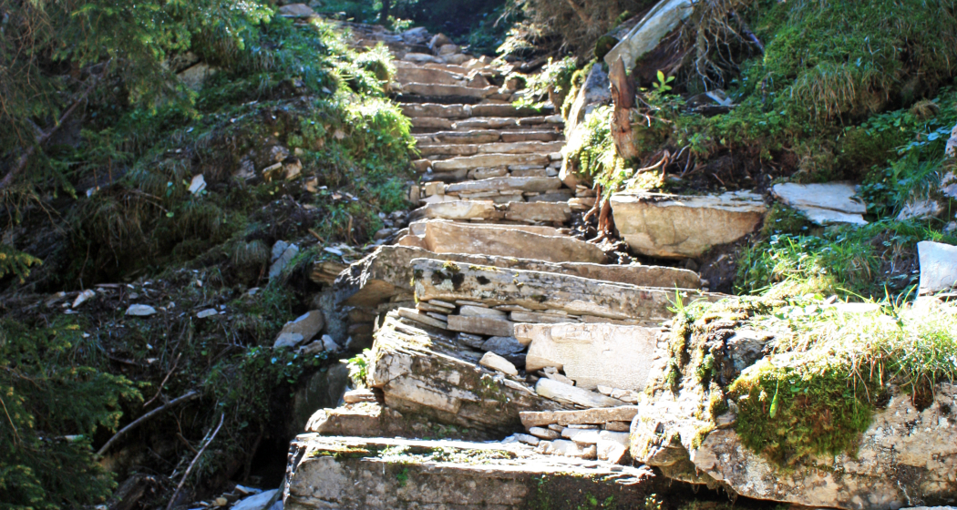 Etappe 9: Steintreppe im Furggwald, Avers Etappe 9: Steintreppe im Furggwald, Avers
