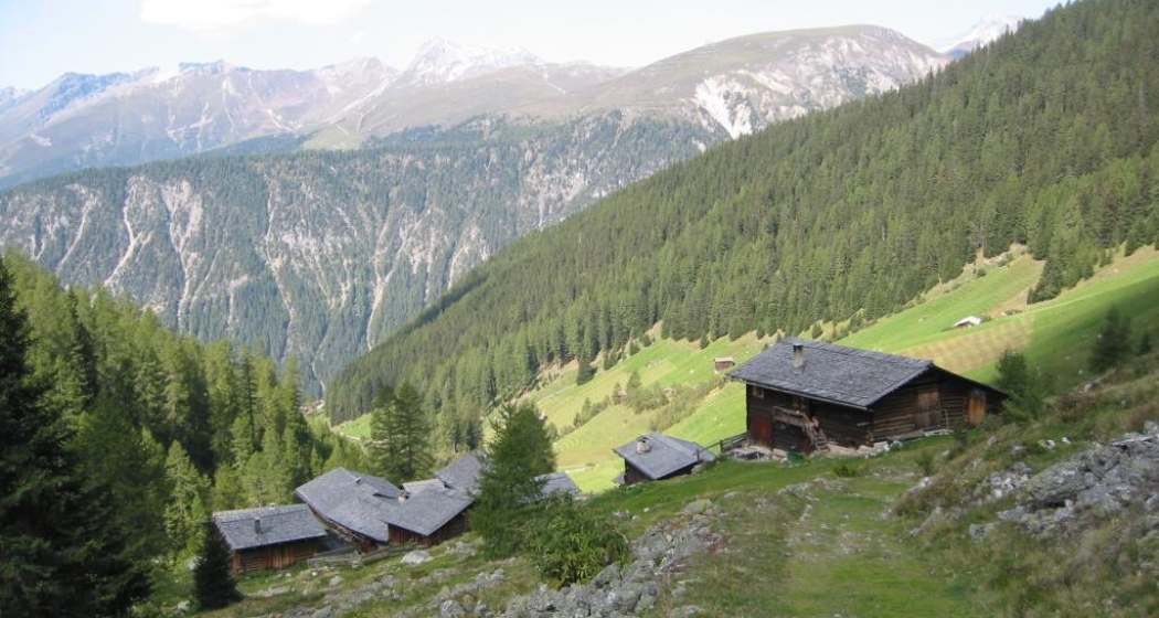 Etappe 14: Oberalp ob Monstein Etappe 14: Oberalp ob Monstein