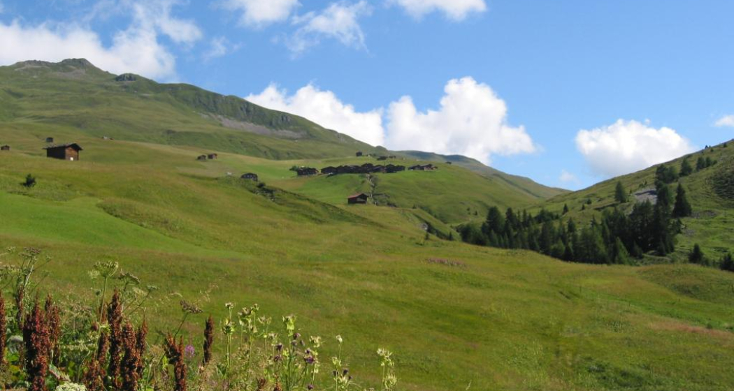 Etappe 18: Strassberg, Fondei