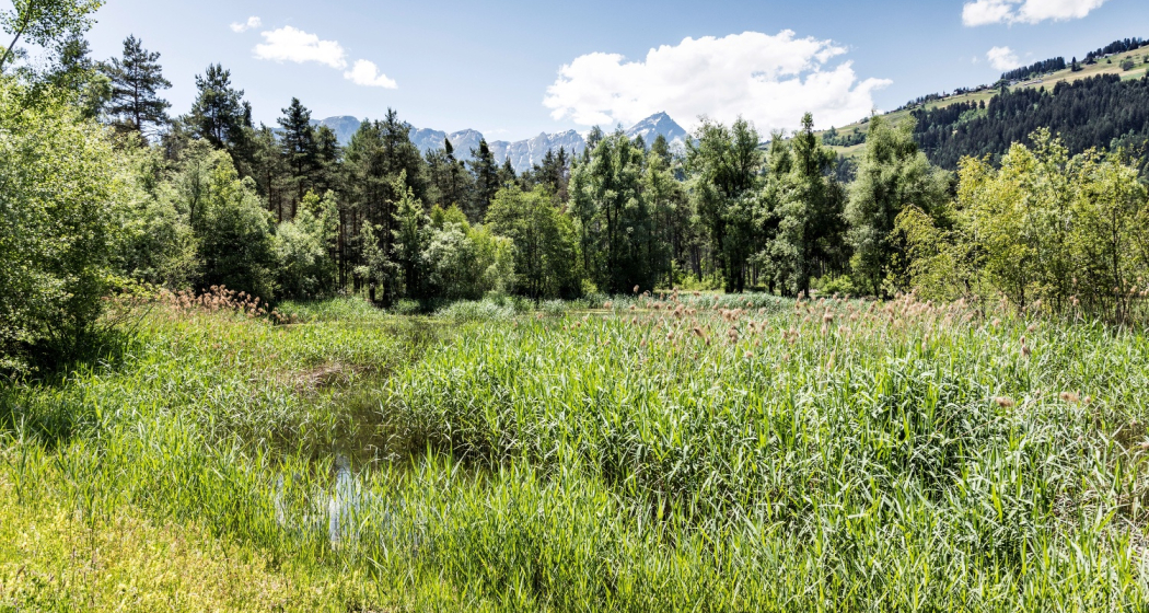 Das kantonale Naturschutzgebiet Munté bei Cazis Das kantonale Naturschutzgebiet Munté bei Cazis