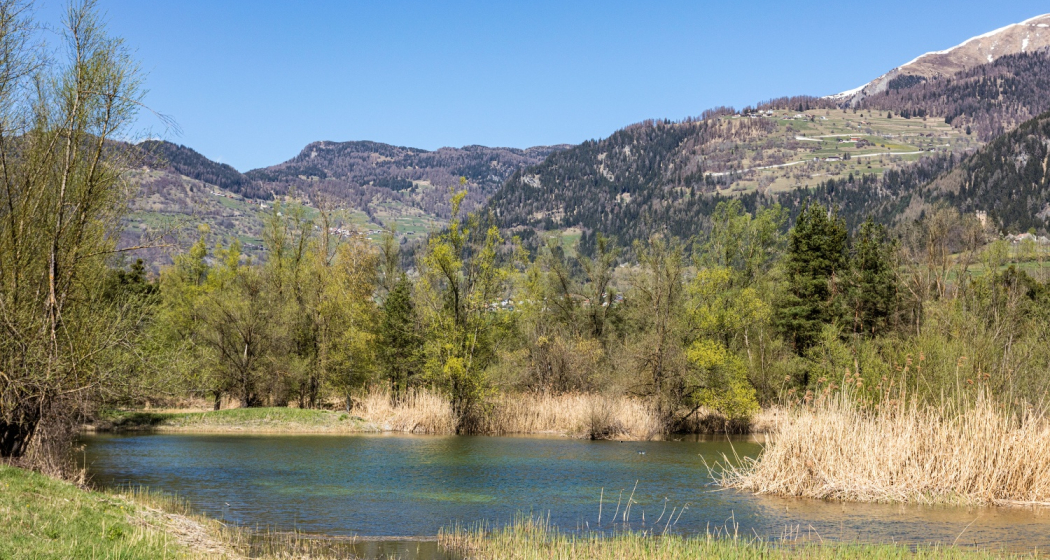 Das kantonale Naturschutzgebiet Munté bei Cazis Das kantonale Naturschutzgebiet Munté bei Cazis