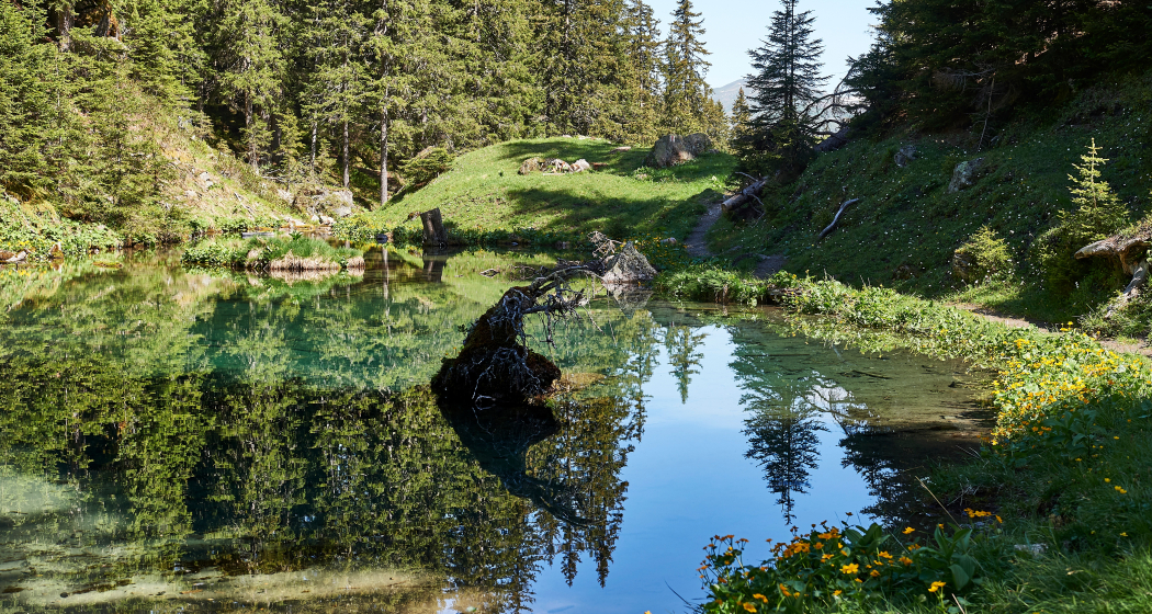 Audioguide - Vier-Seen-Wanderung Arosa Altein Audioguide - Vier-Seen-Wanderung Arosa Altein
