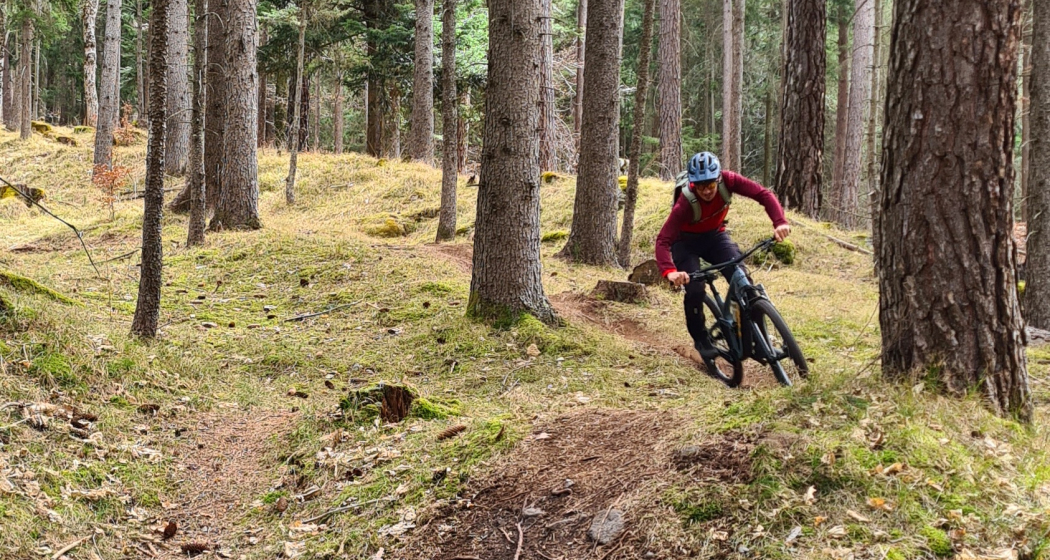 Scalära Trail im Fürstenwald