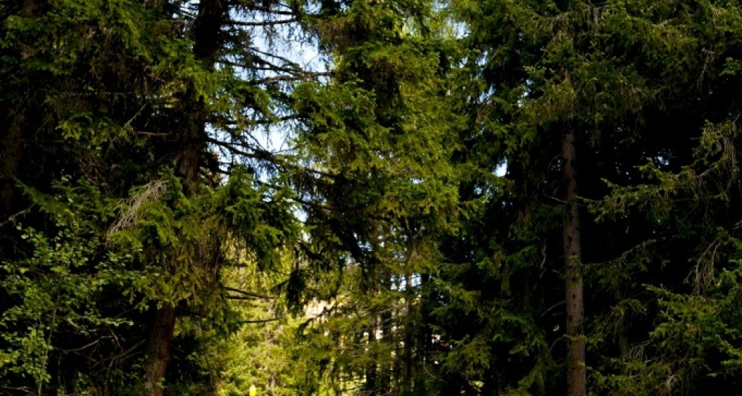 603 Alpen-Tour 603 Alpen-Tour