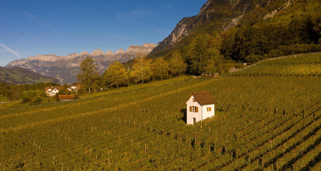 Weinberg Heiligkreuz (Mels) Weinberg Heiligkreuz (Mels)