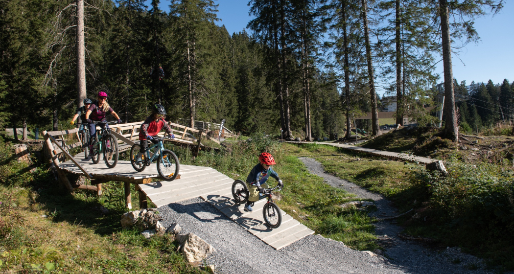 Skillpark Lenzerheide Skillpark Lenzerheide