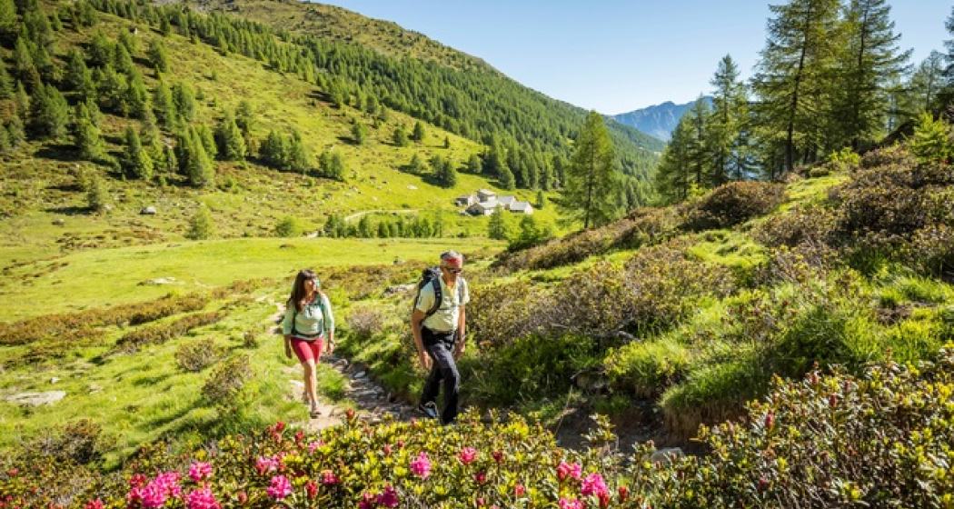 726 Sentiero Lagh dal Mat (oua_67508661_image) 726 Sentiero Lagh dal Mat (oua_67508661_image)