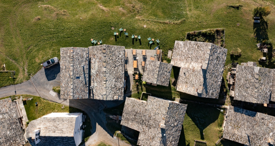 Leis von oben Leis von oben