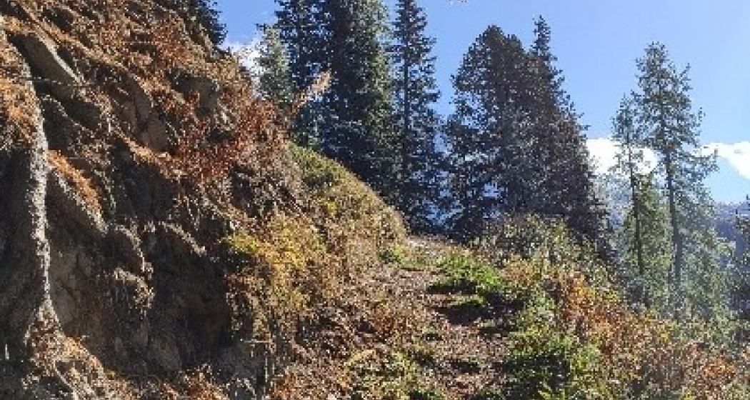 Rundwanderweg Darlux (oua_67676676_image)