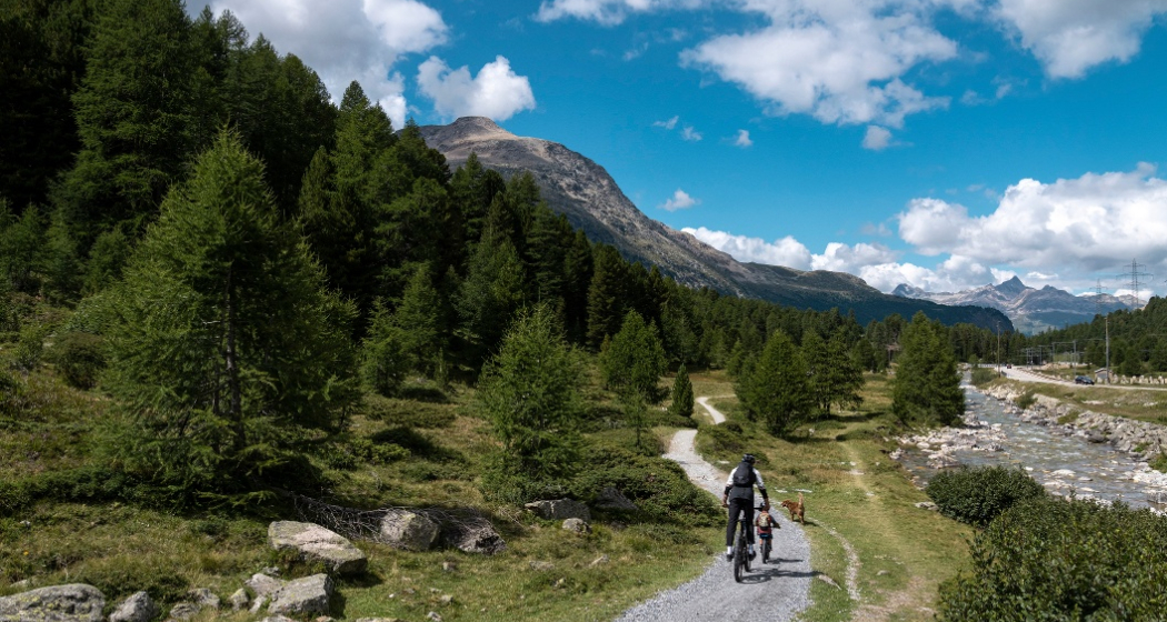 Bernina Trail Bernina Trail