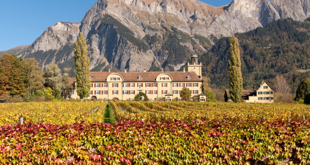 Schloss Salenegg Schloss Salenegg