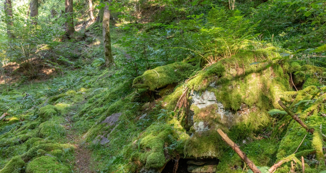 Erlebnisweg "Minas da Gulatsch" (oua_70433225_image) Erlebnisweg "Minas da Gulatsch" (oua_70433225_image)