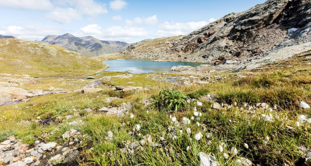 Ober Schwarzsee Avers Ober Schwarzsee Avers