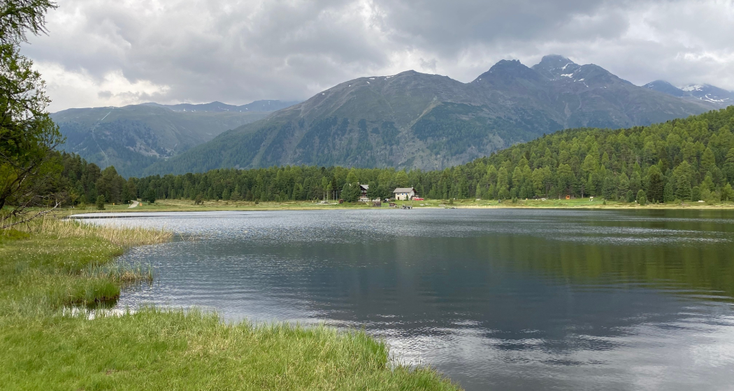 Stazersee Stazersee