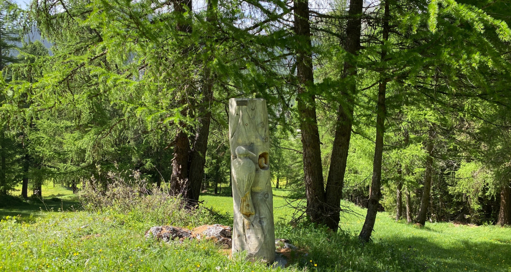 Waldlehrpfad Waldlehrpfad