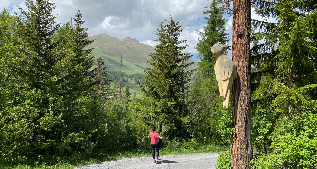 Waldlehrpfad Waldlehrpfad