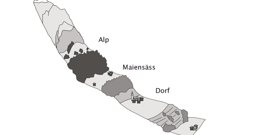 Höhenstufen im Albulatal