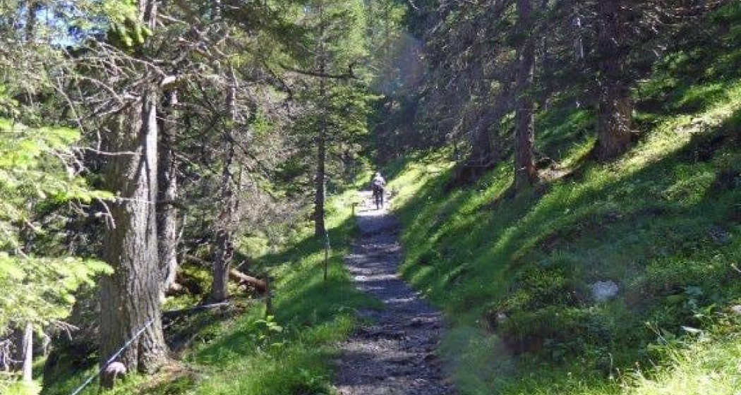 Sonnenrüti Trail Sonnenrüti Trail