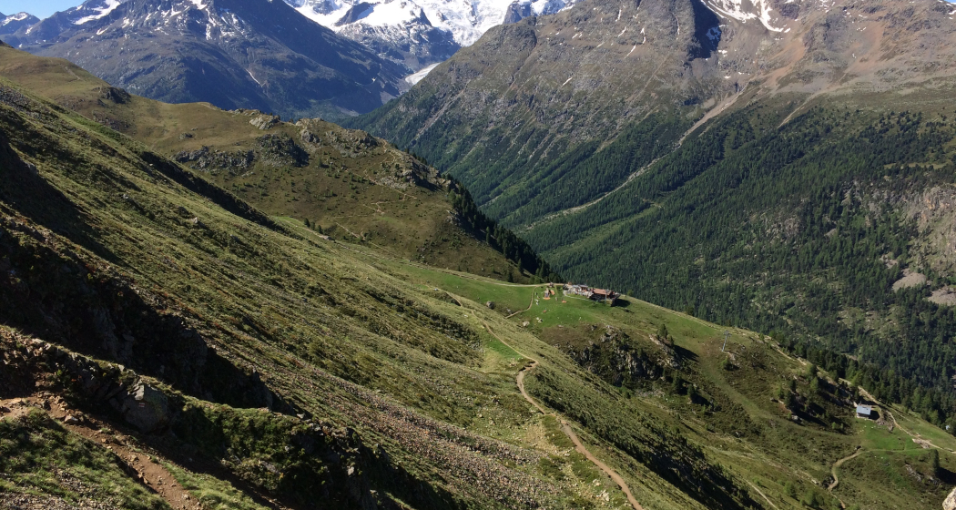 Ausblick auf den Piz Palü Ausblick auf den Piz Palü