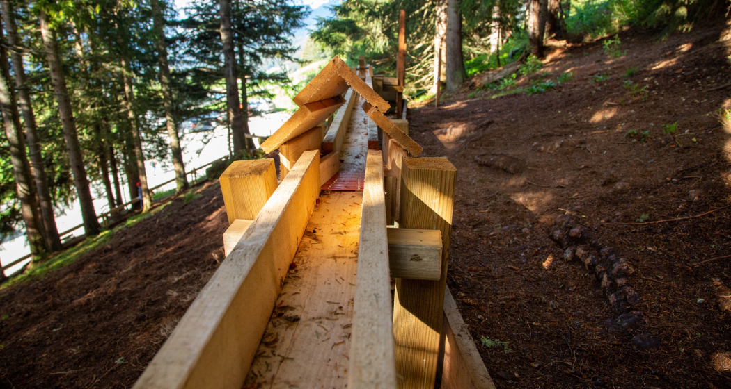 Das Foto zeigt die Holzkugelbahn im Wald Das Foto zeigt die Holzkugelbahn im Wald