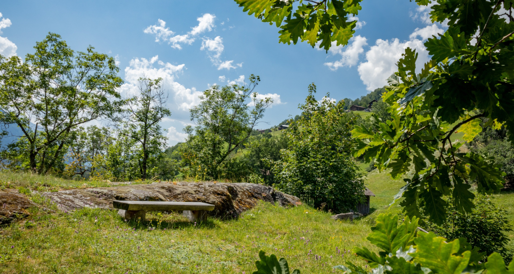 Das Foto zeigt eine Sitzbank in der Grep Patnasa