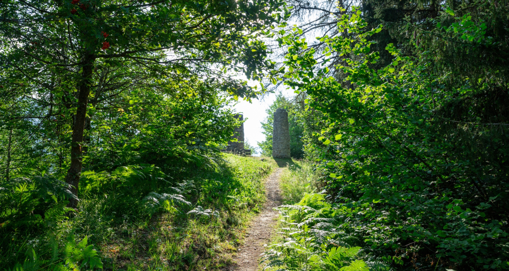 Aufnahme beim Aufstieg zum Galgenhügel
