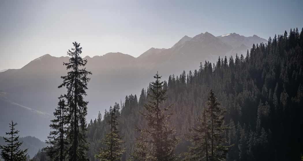 Green Valley: Plaun- Runca Höhe (oua_71960537_image) Green Valley: Plaun- Runca Höhe (oua_71960537_image)
