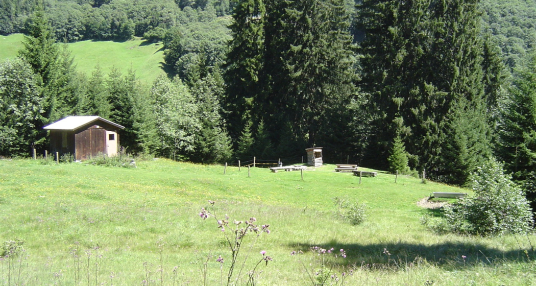 Aufnahme des Lagerplatzes Plaun Asch in Andiast. Aufnahme des Lagerplatzes Plaun Asch in Andiast.