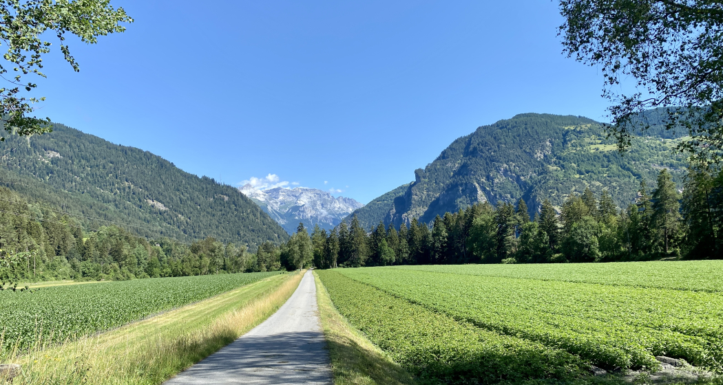 Untere Waldau Untere Waldau