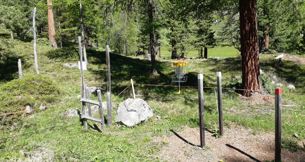 Disc-Golf (oua_72453042_image) Disc-Golf (oua_72453042_image)