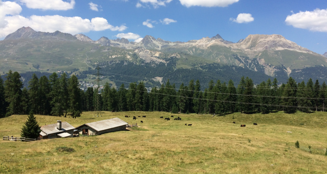 Alp Staz Alp Staz