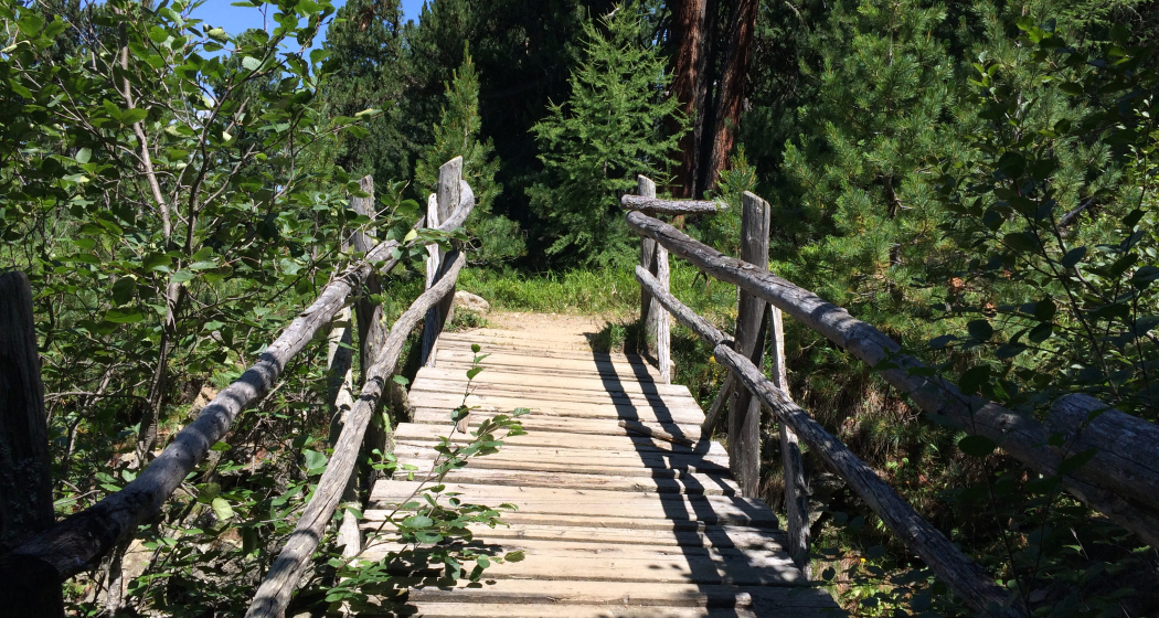 Weg zu Muottas da Schlarigna Weg zu Muottas da Schlarigna
