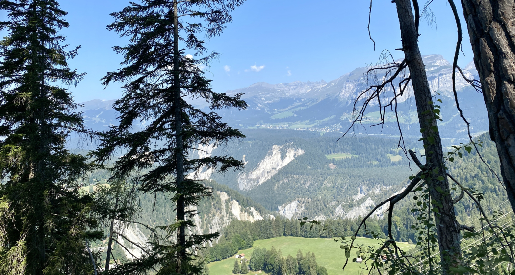 Flims Segnas Flims Segnas