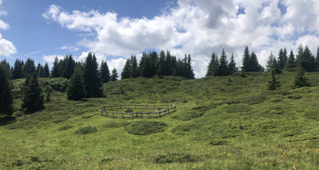 Grillplatz Grillplatz