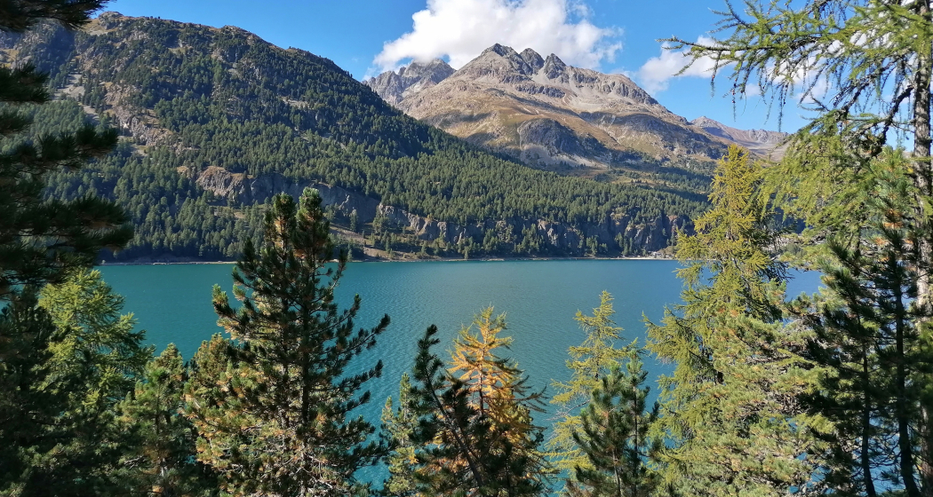 Silvaplanersee Silvaplanersee