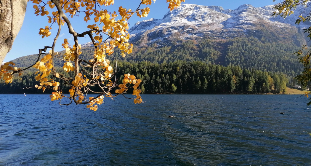 St. Moritzersee St. Moritzersee