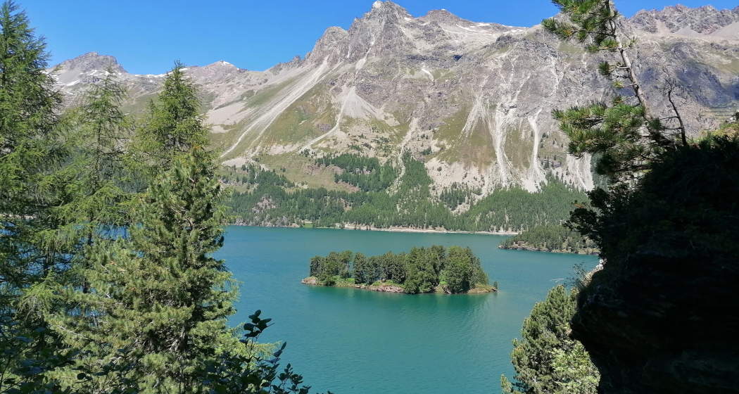 Blick auf den Silsersee Blick auf den Silsersee