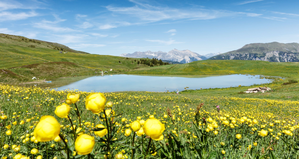 Der Libi-See im Frühling Der Libi-See im Frühling