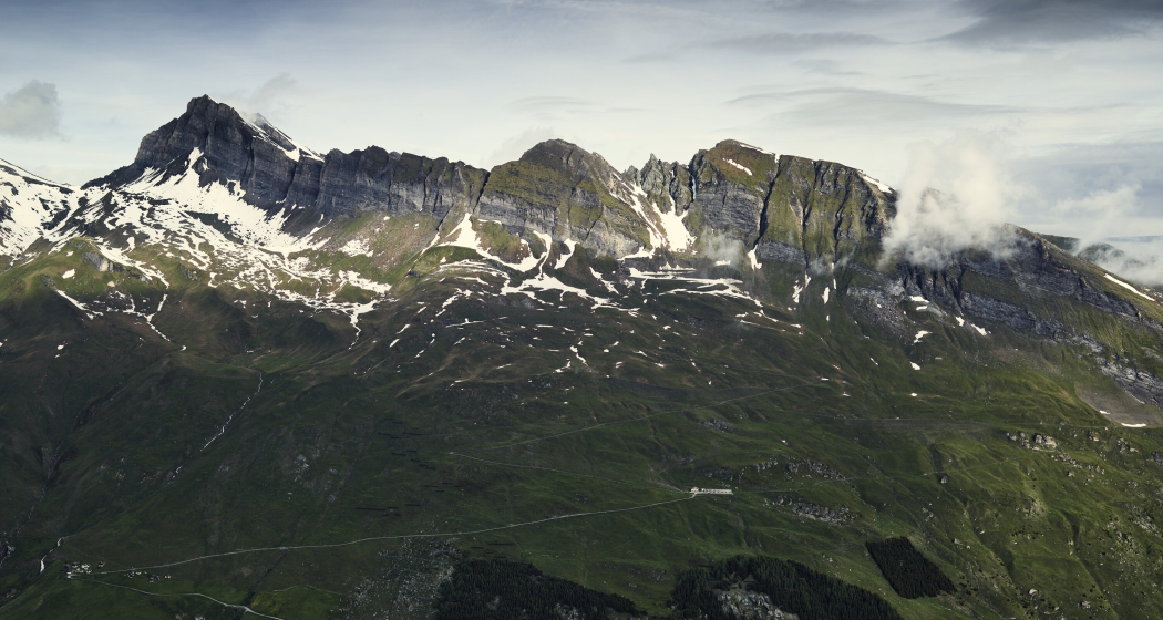 Satteltichopf in der Bildmitte Satteltichopf in der Bildmitte