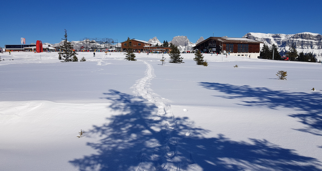 Schneeschuhtrail Prodalp-Panüöl Schneeschuhtrail Prodalp-Panüöl