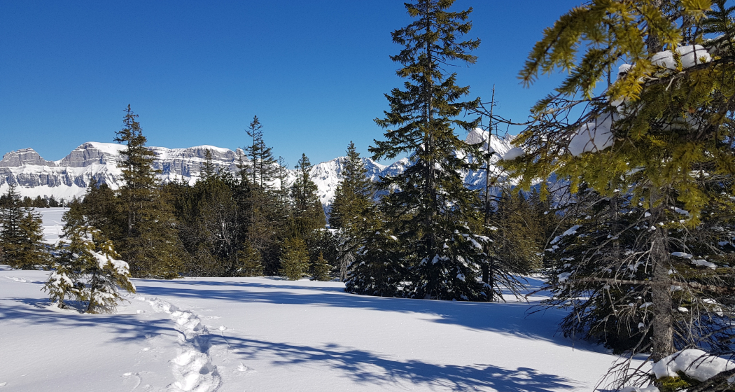 Schneeschuhtrail Prodalp-Panüöl Schneeschuhtrail Prodalp-Panüöl