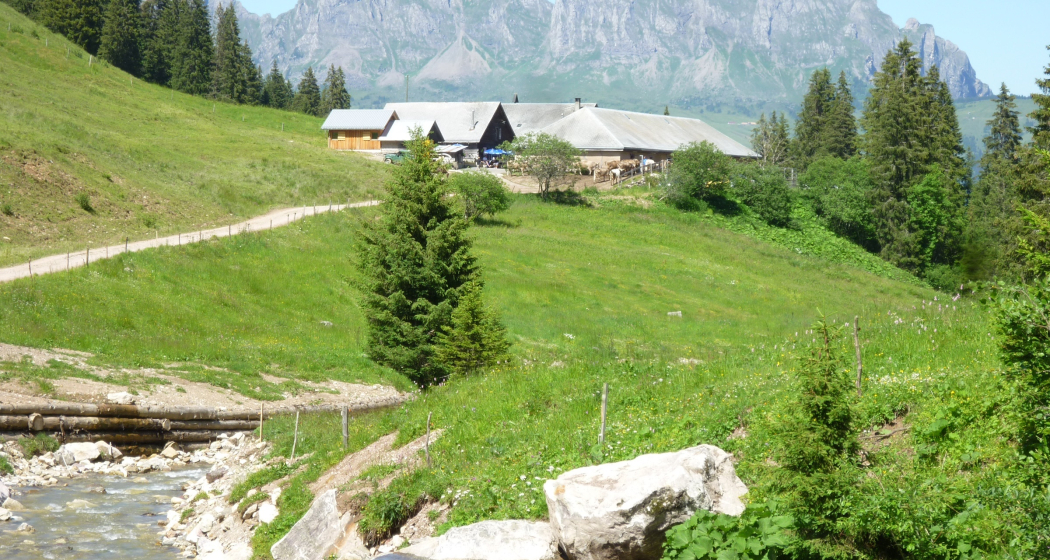 Alp Kohlschlag Alp Kohlschlag