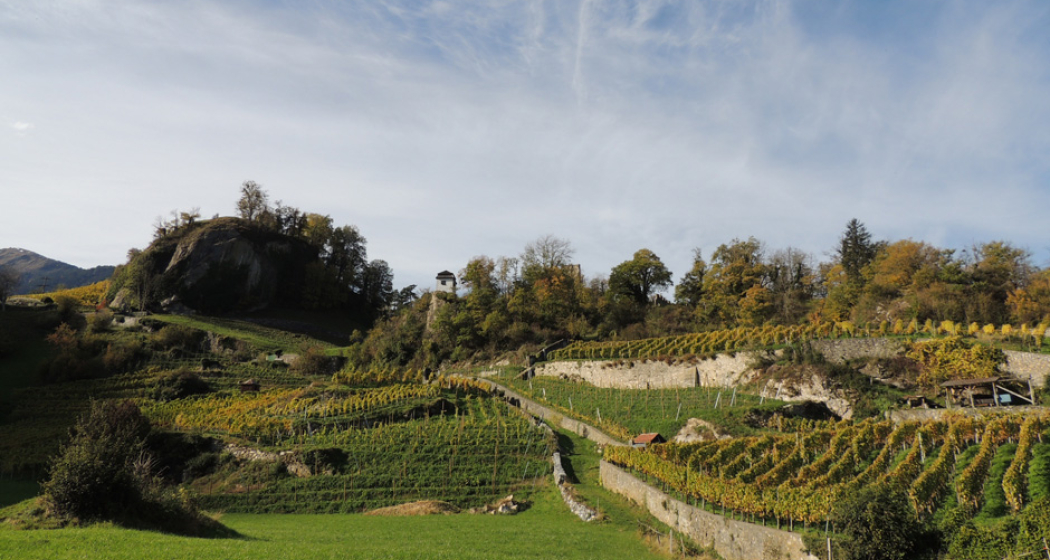 Weingut Portaser Weingut Portaser