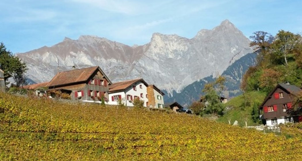 Weingut Portaser Weingut Portaser