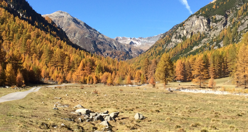 Susauna im Herbst Susauna im Herbst